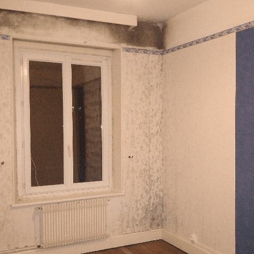 Moisissures dans les chambres