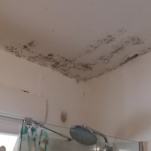 Moisissures dans la salle de bain ou la cuisine