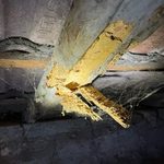 Dégats de capricornes des maisons sur une charpente