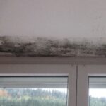 Moisissures sur le mur au dessus d'une fenêtre