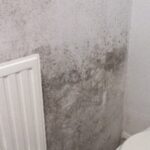 Moisissures noires sur un mur de toilettes
