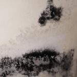 Moisissures noires 